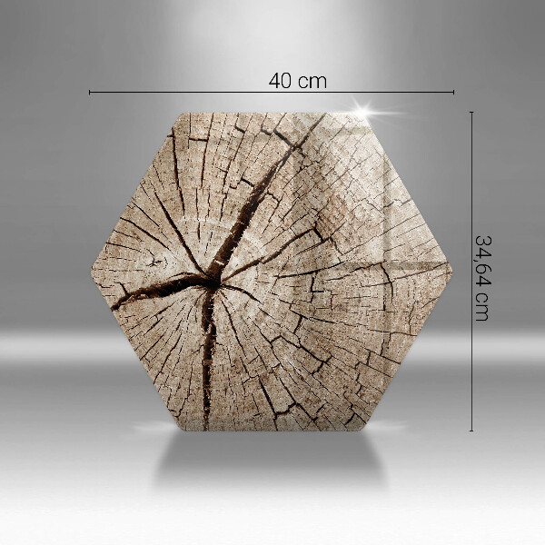 Tábua de cortar Seção transversal de uma árvore