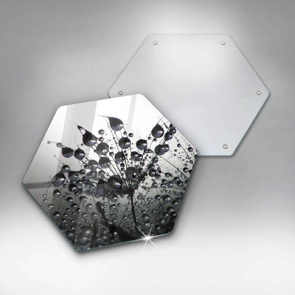 Tábua corte Dente-de-leão e orvalho