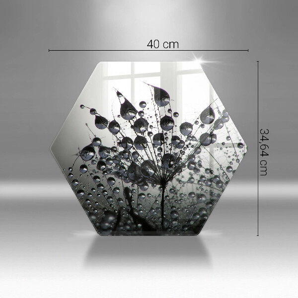 Tábua corte Dente-de-leão e orvalho