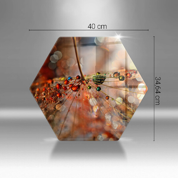 Tábua corte Dente-de-leão molhado