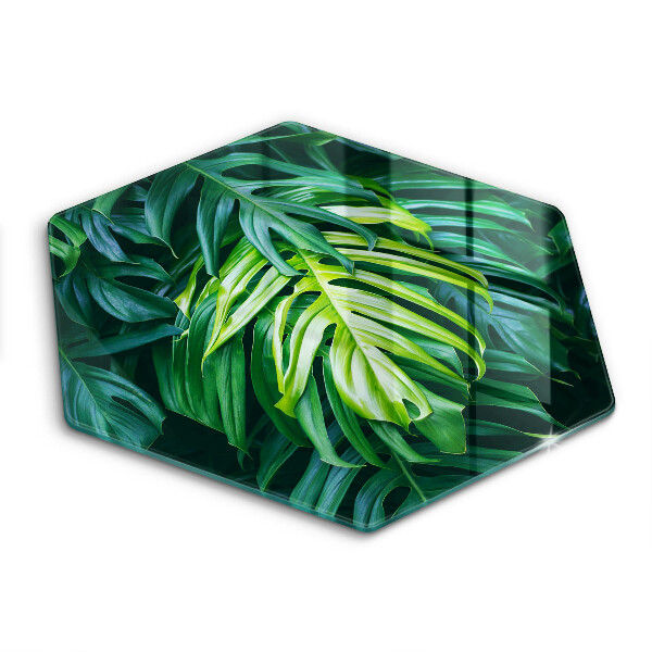 Tábua de vidro Folhas de monstera selvagem