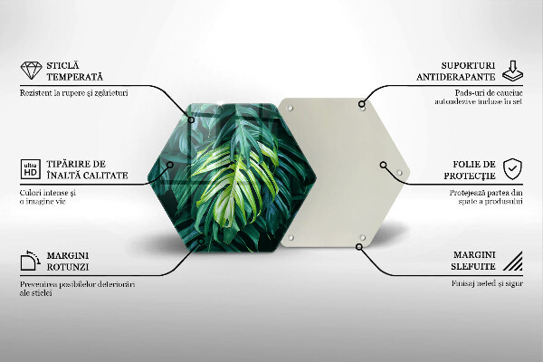 Tábua de vidro Folhas de monstera selvagem