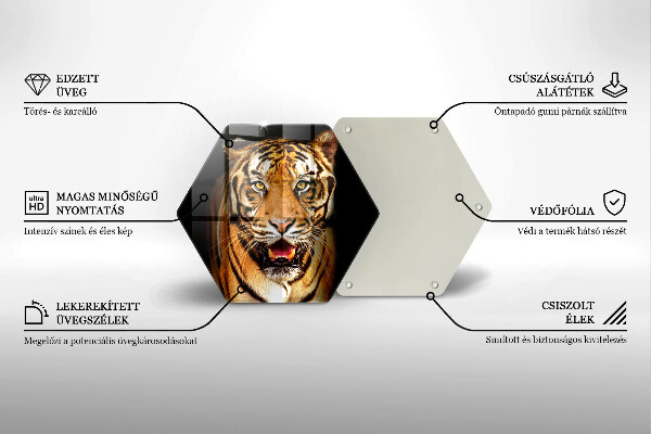 Tábua corte Tigre animal selvagem