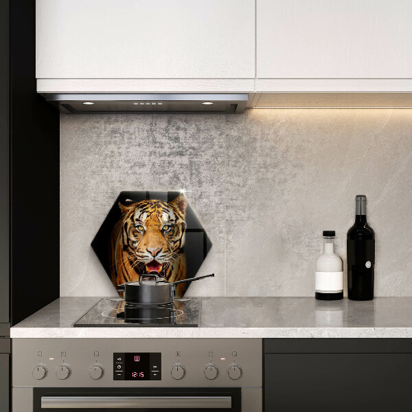 Tábua corte Tigre animal selvagem