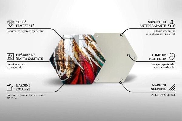 Tábua corte penas de pássaros boho