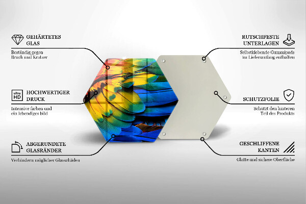 Tábua de corte Penas coloridas de papagaio