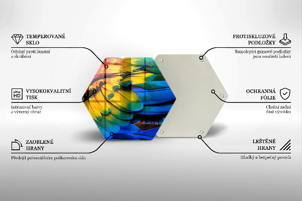 Tábua de corte Penas coloridas de papagaio