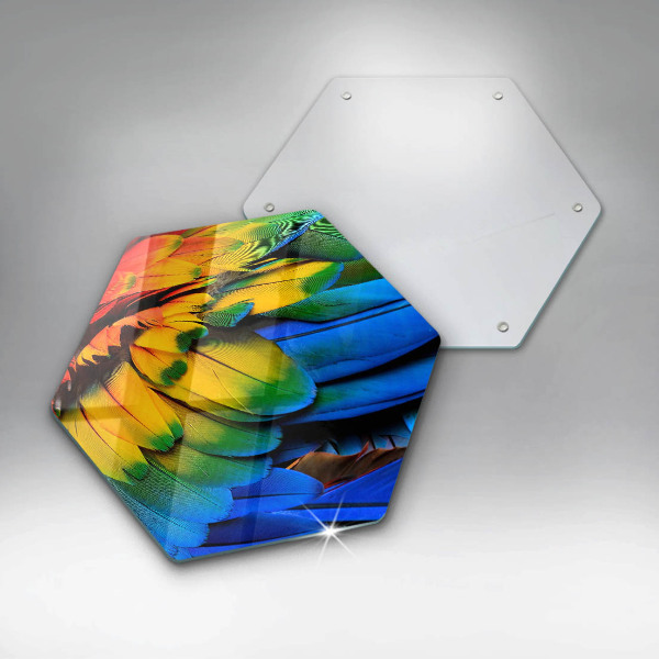 Tábua de corte Penas coloridas de papagaio