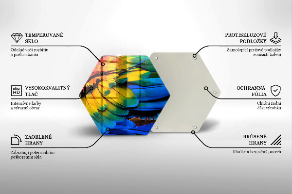 Tábua de corte Penas coloridas de papagaio