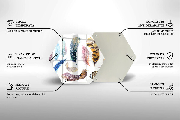 Tábua corte Penas coloridas de pássaros