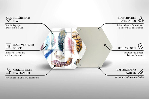 Tábua corte Penas coloridas de pássaros