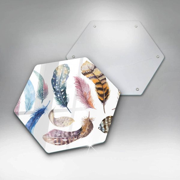 Tábua corte Penas coloridas de pássaros