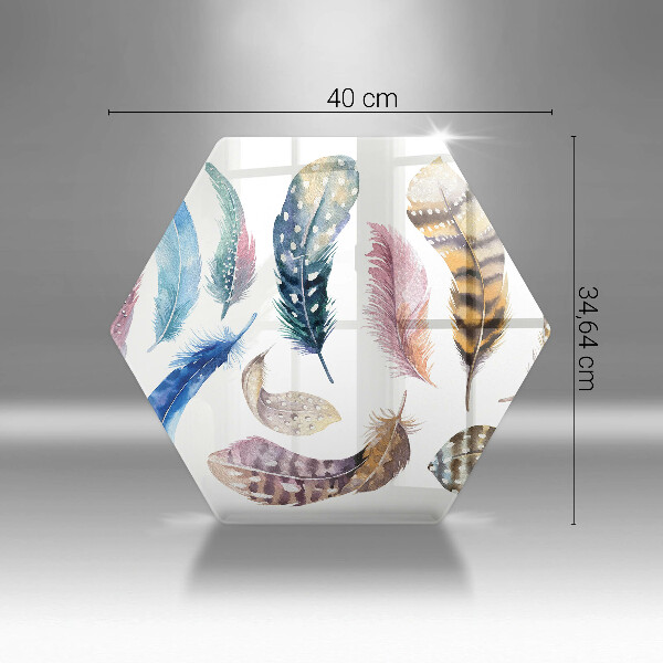 Tábua corte Penas coloridas de pássaros