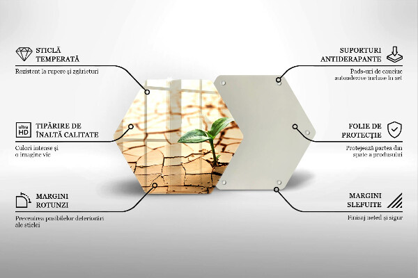 Tábua para corte Uma planta solitária