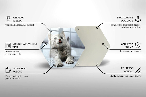 Tábua cozinha Um gatinho fofo