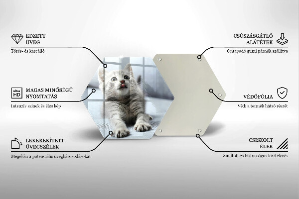 Tábua cozinha Um gatinho fofo