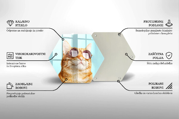 Tábua para corte Um gato ruivo com óculos