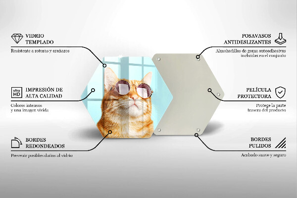 Tábua para corte Um gato ruivo com óculos