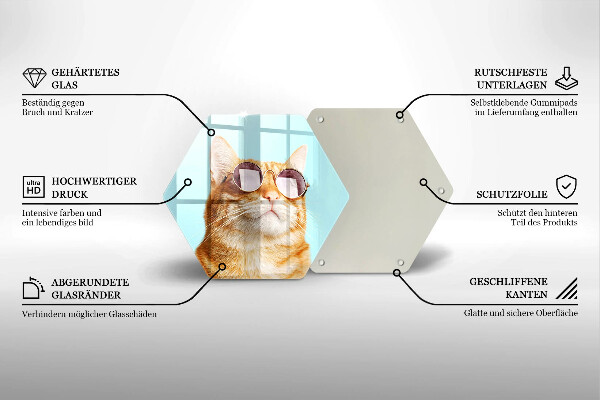 Tábua para corte Um gato ruivo com óculos