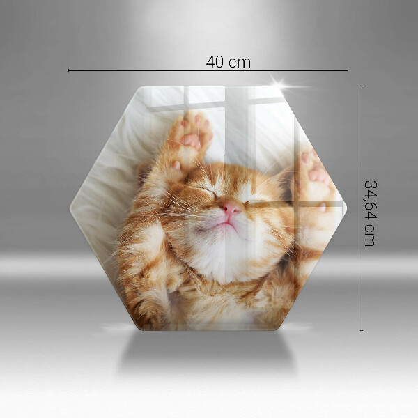 Tábua para cozinha Gatinho doce