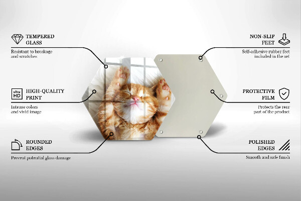 Tábua para cozinha Gatinho doce