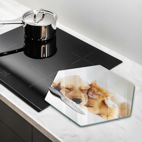 Tábua corte Animais cão e gato