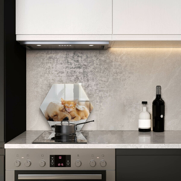 Tábua corte Animais cão e gato