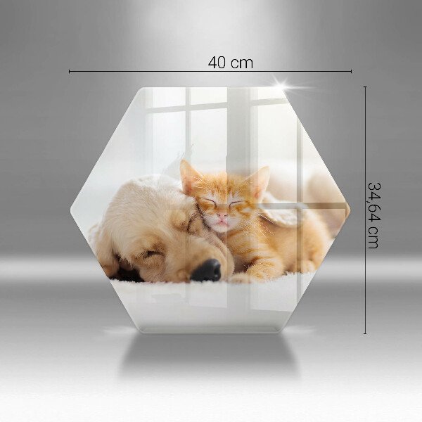 Tábua corte Animais cão e gato