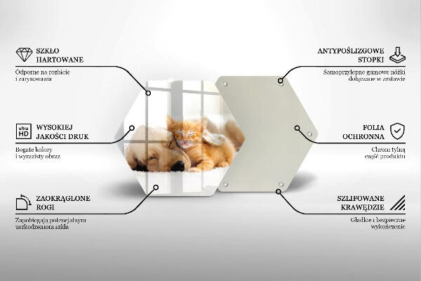 Tábua corte Animais cão e gato