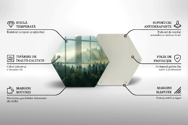 Tábua de cortar alimentos Vista da paisagem da floresta
