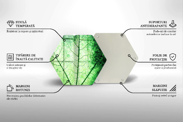 Tábua cozinha Nervuras decorativas das folhas