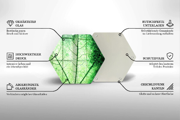 Tábua cozinha Nervuras decorativas das folhas