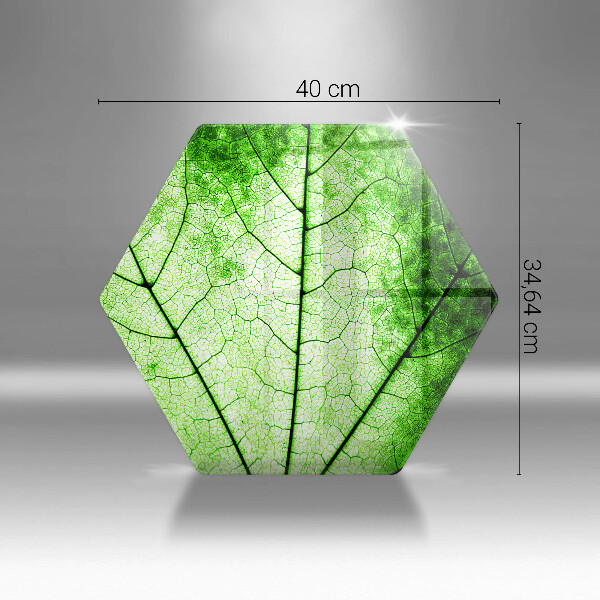 Tábua cozinha Nervuras decorativas das folhas