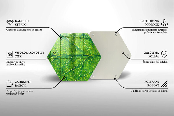 Tábua corte Natureza das nervuras das folhas