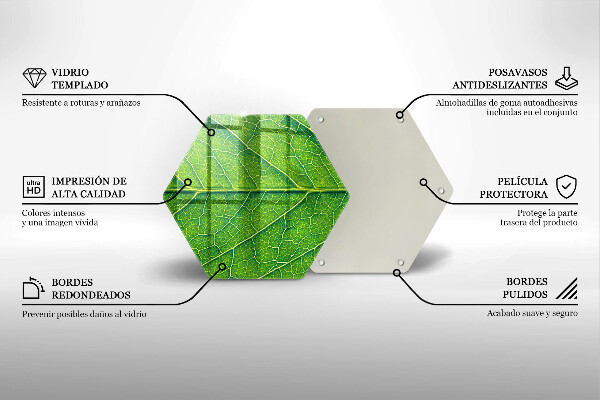 Tábua corte Natureza das nervuras das folhas