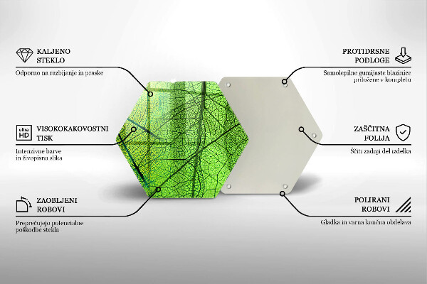 Tábua de cortar alimentos Natureza das nervuras das folhas