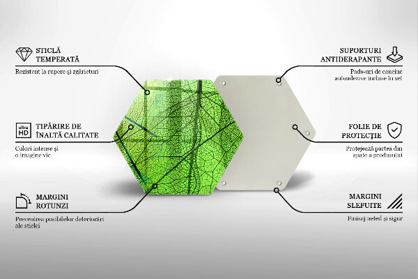 Tábua de cortar alimentos Natureza das nervuras das folhas