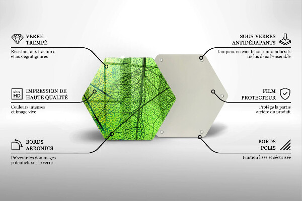 Tábua de cortar alimentos Natureza das nervuras das folhas