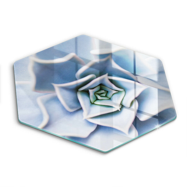 Tábua de vidro planta de flor
