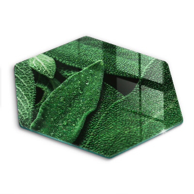 Tábua de corte de vidro As folhas da planta