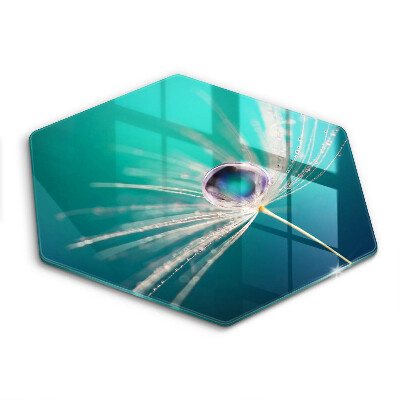 Tábua de vidro Orvalho em um dente-de-leão