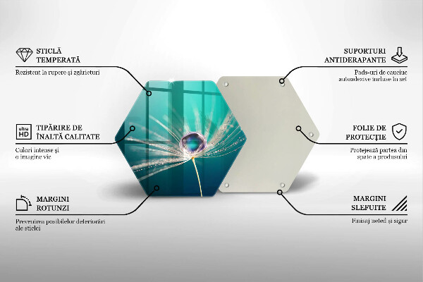 Tábua de vidro Orvalho em um dente-de-leão