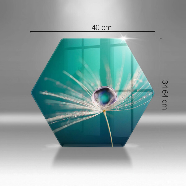 Tábua de vidro Orvalho em um dente-de-leão