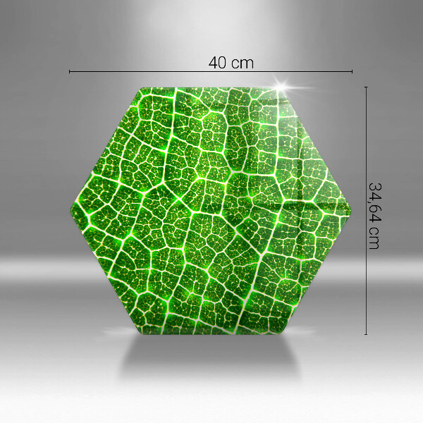 Tábua cozinha Estrutura da folha