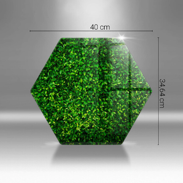 Tábua de vidro Planta com folhas pequenas