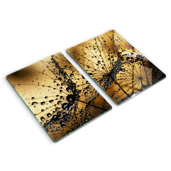 Exaustor a gás Orvalho e dentes-de-leão