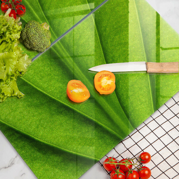 Tampa de parede do fogão a gás Folha nervuras natureza