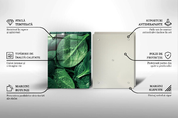 Tampa de parede do fogão a gás Folhas de manjericão