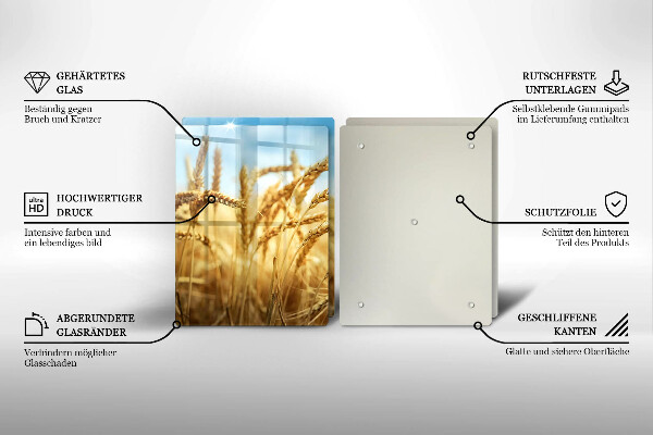 Proteção de paredes na cozinha Espigas de cereais no campo
