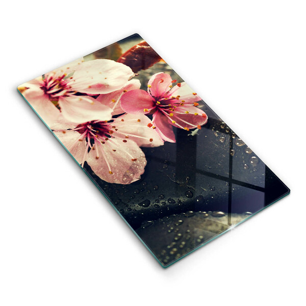 Proteção para placa de indução Flores pedras zen